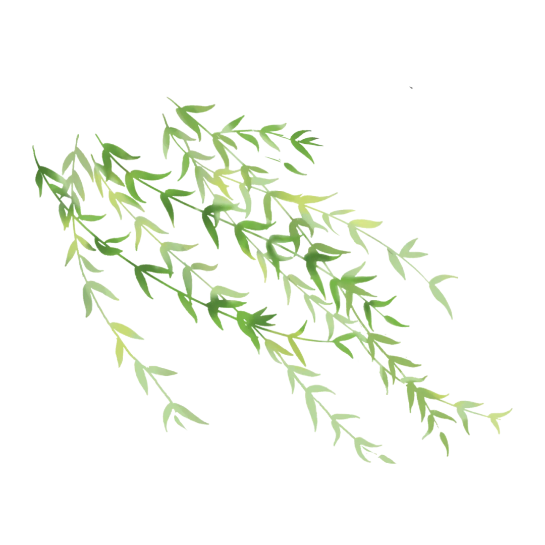 背景柳条