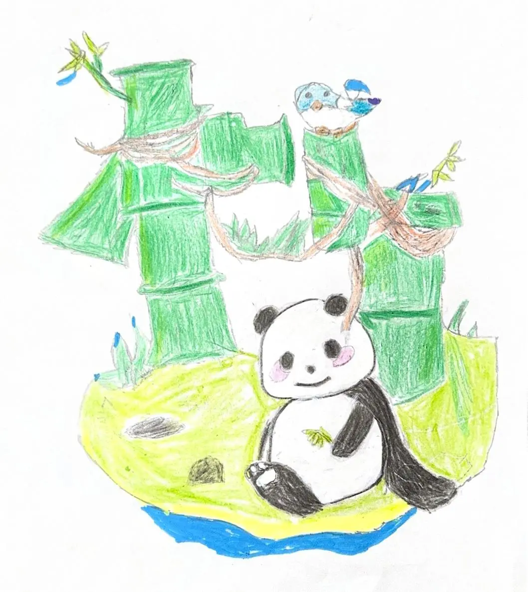 图片
