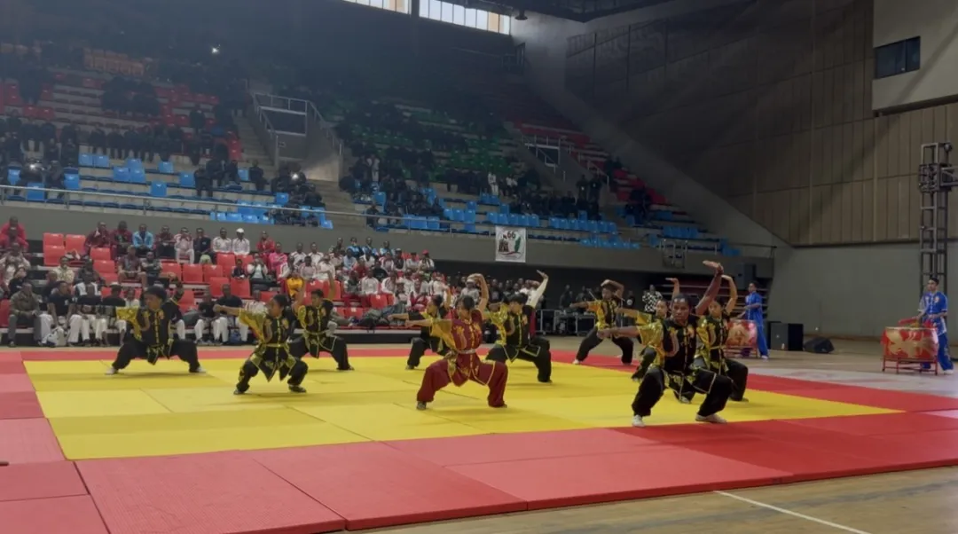 坦桑尼亚达累斯萨拉姆大学孔子学院联合承办第五届中坦人才招聘会1 图片